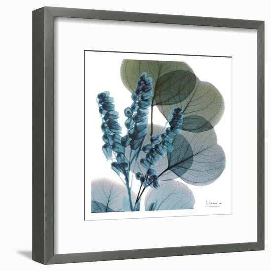 Lilly Of Eucalyptus-Albert Koetsier-Framed Art Print