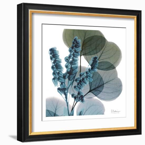 Lilly Of Eucalyptus-Albert Koetsier-Framed Art Print