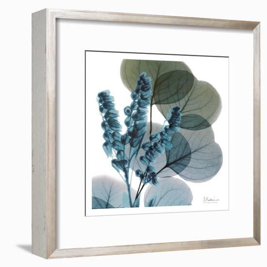 Lilly Of Eucalyptus-Albert Koetsier-Framed Art Print