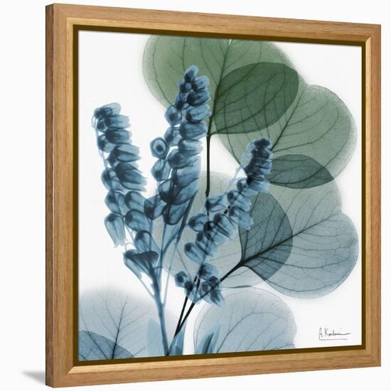 Lilly of Eucalyptus-Albert Koetsier-Framed Stretched Canvas