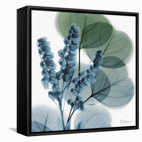 Lilly of Eucalyptus-Albert Koetsier-Framed Stretched Canvas