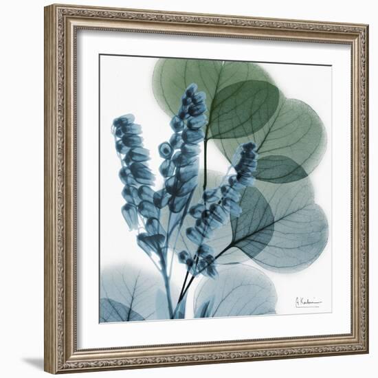 Lilly of Eucalyptus-Albert Koetsier-Framed Premium Giclee Print