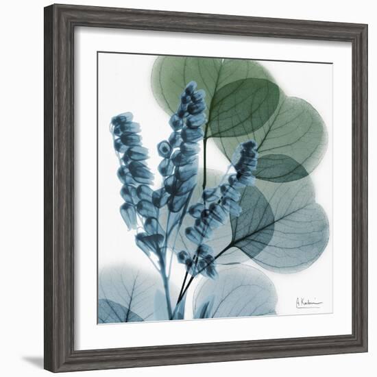 Lilly of Eucalyptus-Albert Koetsier-Framed Premium Giclee Print