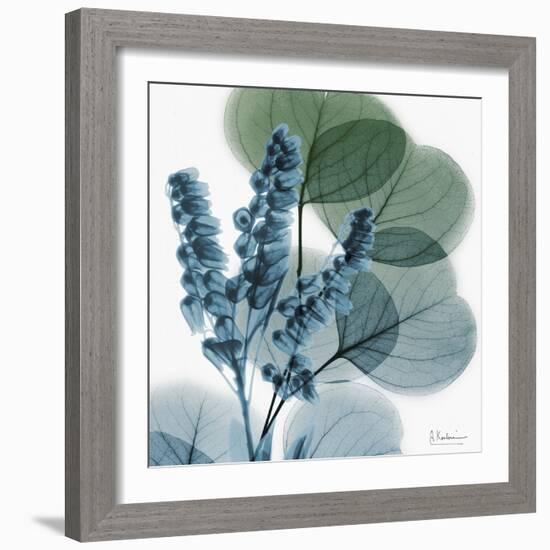 Lilly of Eucalyptus-Albert Koetsier-Framed Premium Giclee Print