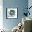 Lilly of Eucalyptus-Albert Koetsier-Framed Premium Giclee Print displayed on a wall