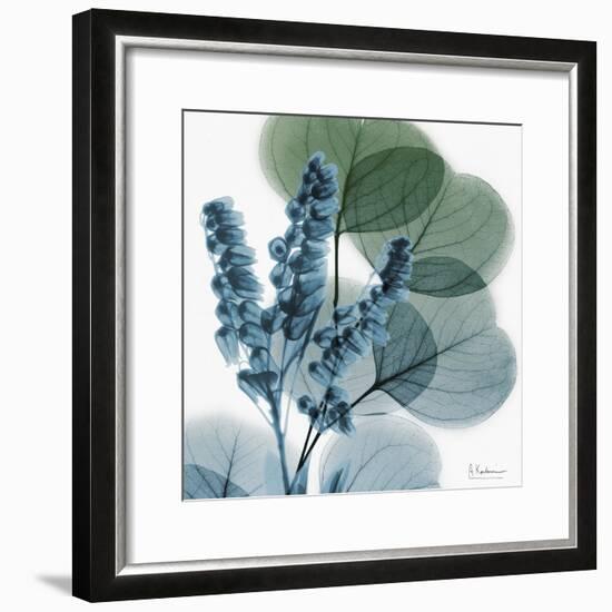 Lilly of Eucalyptus-Albert Koetsier-Framed Premium Giclee Print