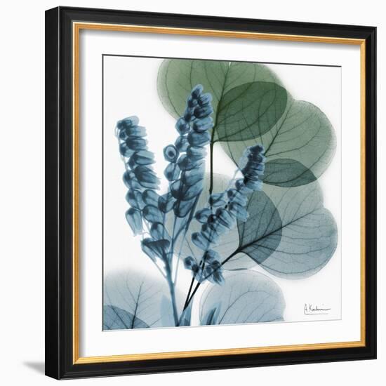 Lilly of Eucalyptus-Albert Koetsier-Framed Premium Giclee Print