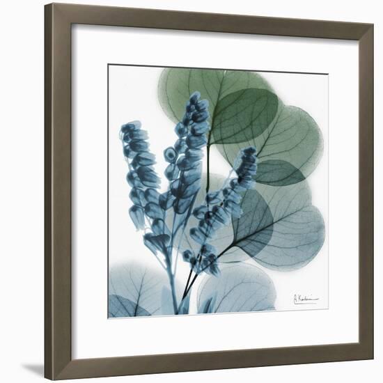 Lilly of Eucalyptus-Albert Koetsier-Framed Premium Giclee Print