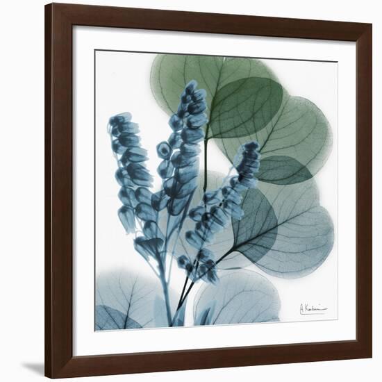 Lilly of Eucalyptus-Albert Koetsier-Framed Giclee Print