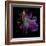 Lilly's Pollen-Magda Indigo-Framed Photographic Print