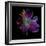 Lilly's Pollen-Magda Indigo-Framed Photographic Print