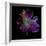 Lilly's Pollen-Magda Indigo-Framed Photographic Print