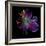 Lilly's Pollen-Magda Indigo-Framed Photographic Print