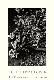 Collectable Print