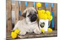 Premium Photographic Print