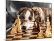 Premium Photographic Print