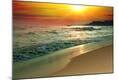 Premium Photographic Print