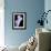 Lily 3-Doug Chinnery-Framed Photographic Print displayed on a wall
