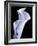 Lily 3-Doug Chinnery-Framed Photographic Print