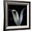 Lily 3-Johan Lilja-Framed Giclee Print