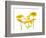 Lily and Chrysanthemums or Mums on a white background-Panoramic Images-Framed Photographic Print