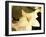 Lily and Leaves-Rebecca Swanson-Framed Photographic Print