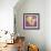 Lily Bloom VII-Bill Philip-Framed Giclee Print displayed on a wall