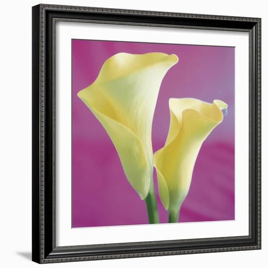 Lily Bloom VII-Bill Philip-Framed Giclee Print