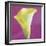 Lily Bloom VIII-Bill Philip-Framed Giclee Print