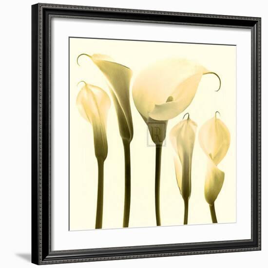 Lily Cluster-Katja Marzahn-Framed Art Print