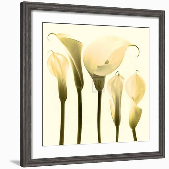 Lily Cluster-Katja Marzahn-Framed Art Print