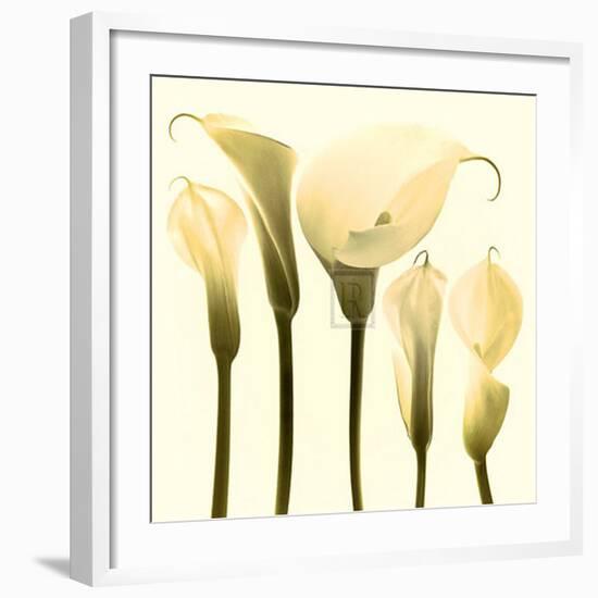 Lily Cluster-Katja Marzahn-Framed Art Print