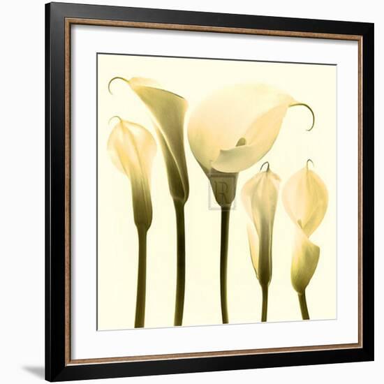 Lily Cluster-Katja Marzahn-Framed Art Print