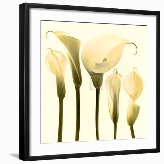 Lily Cluster-Katja Marzahn-Framed Art Print