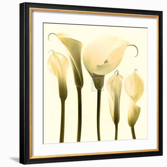 Lily Cluster-Katja Marzahn-Framed Art Print