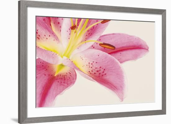 Lily Dawn-Irene Suchocki-Framed Giclee Print