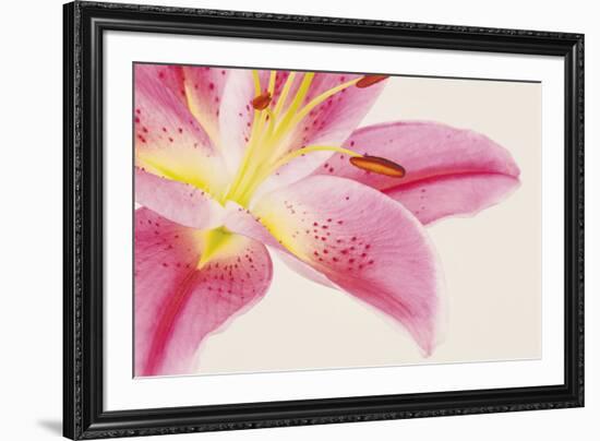 Lily Dawn-Irene Suchocki-Framed Giclee Print