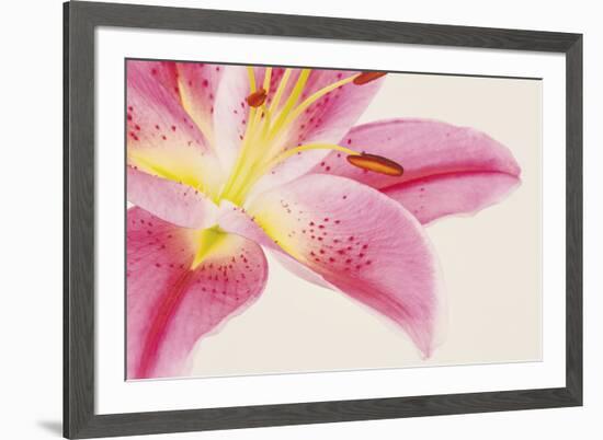 Lily Dawn-Irene Suchocki-Framed Giclee Print