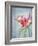 Lily, Daylily, Flower, Blossom, Plant, Still Life, Blue, Pink, Red-Axel Killian-Framed Photographic Print