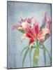 Lily, Daylily, Flower, Blossom, Plant, Still Life, Blue, Pink, Red-Axel Killian-Mounted Photographic Print