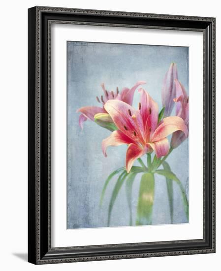 Lily, Daylily, Flower, Blossom, Plant, Still Life, Blue, Pink, Red-Axel Killian-Framed Photographic Print