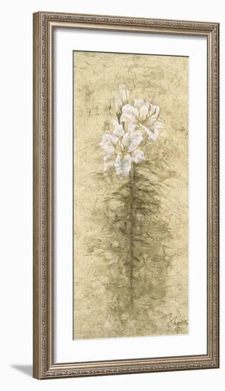 Lily Fair-B^ J^ Zhang-Framed Art Print