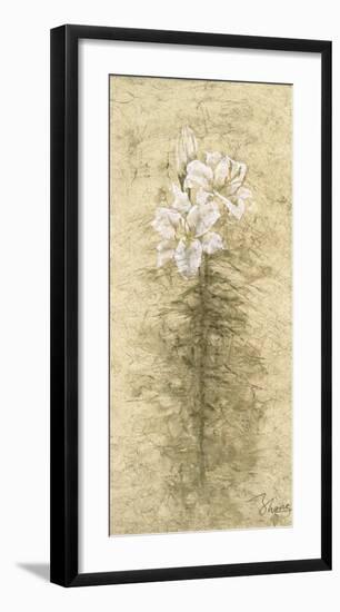 Lily Fair-B^ J^ Zhang-Framed Art Print