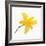 Lily Flower-DLILLC-Framed Photographic Print