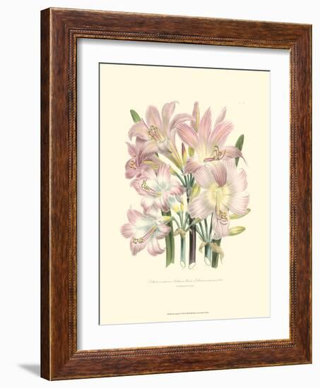 Lily Garden IV-Jane W^ Loudon-Framed Art Print