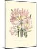 Lily Garden IV-Jane W^ Loudon-Mounted Art Print