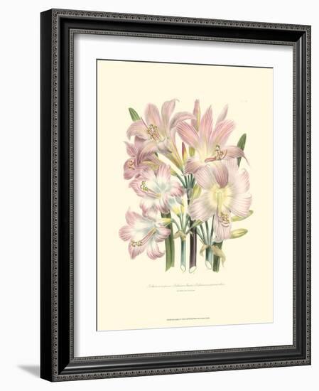 Lily Garden IV-Jane W^ Loudon-Framed Art Print