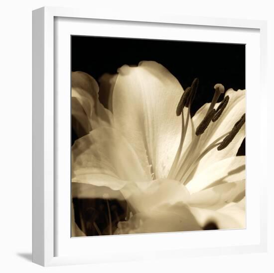 Lily Glow III-Malcolm Sanders-Framed Giclee Print