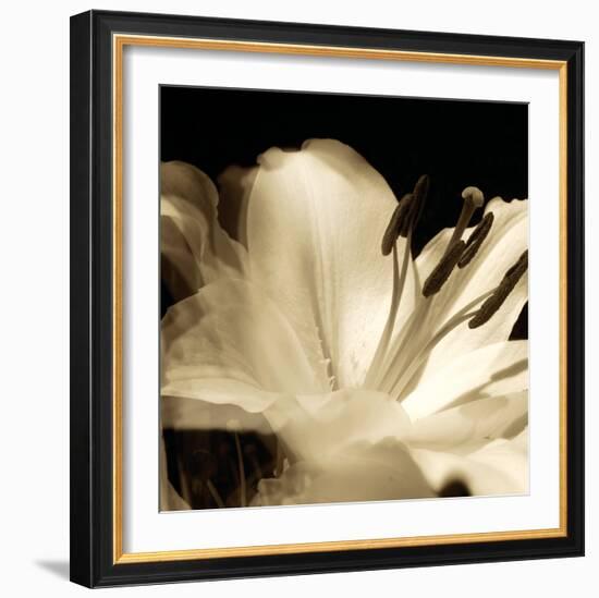 Lily Glow III-Malcolm Sanders-Framed Giclee Print