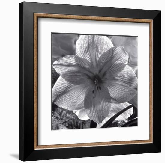 Lily Grace-Richard Sutton-Framed Art Print